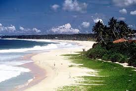 The Serendipity Tour of Colombo 7N8D
