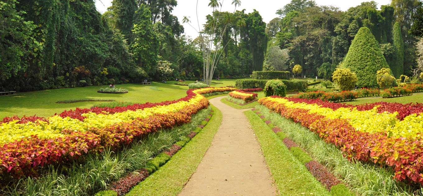 Srilanka 4 Nights / 5Days