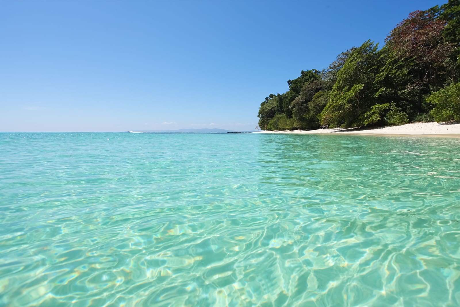 Andaman Tour Package