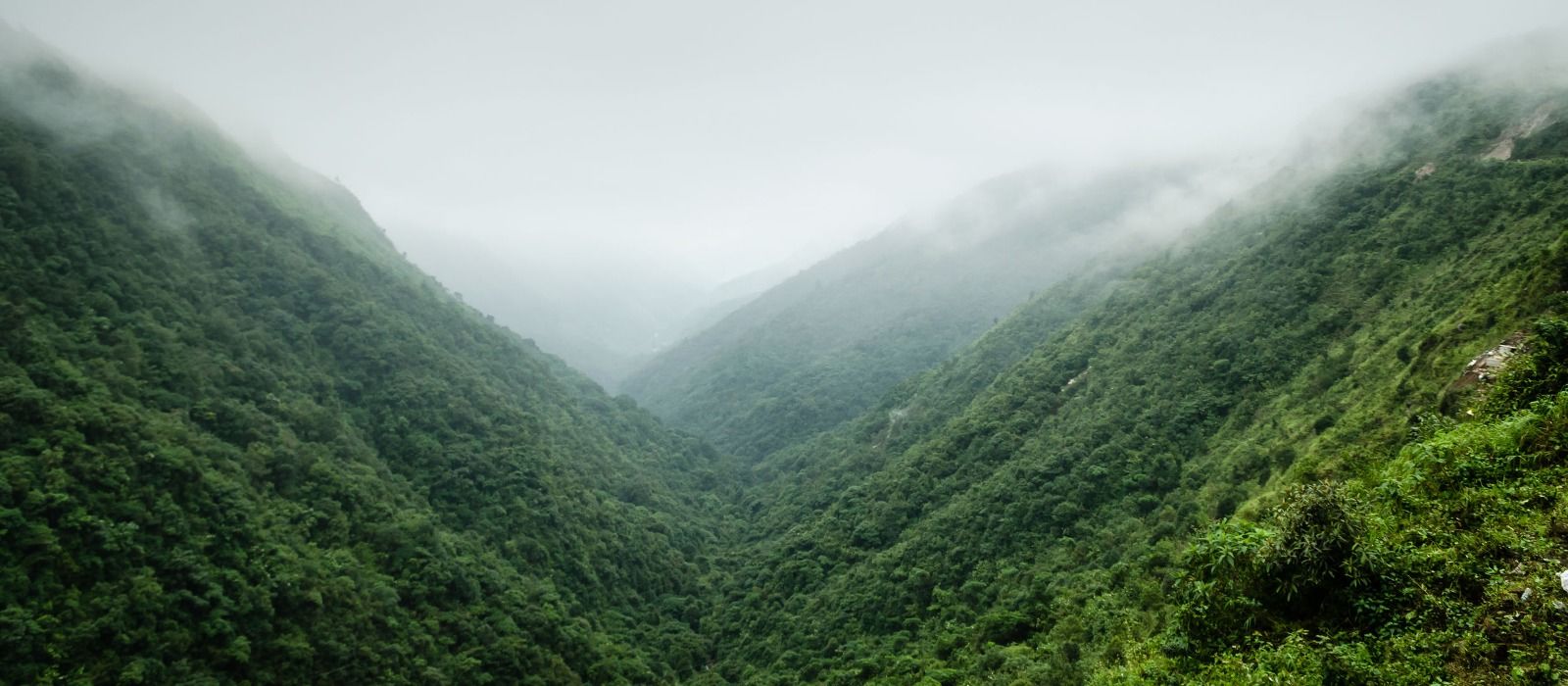 Assam & Meghalaya 5N 6D Tour Package