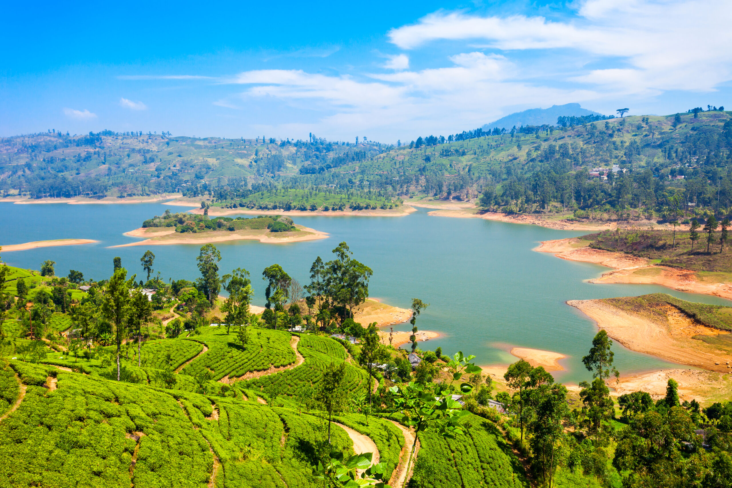 Tea plantation and Maskeliya Dam Lake or Maussakelle reservoir near Nuwara Eliya in Sri Lanka. Nuwara Eliya is the most important place for tea production in Sri Lanka.